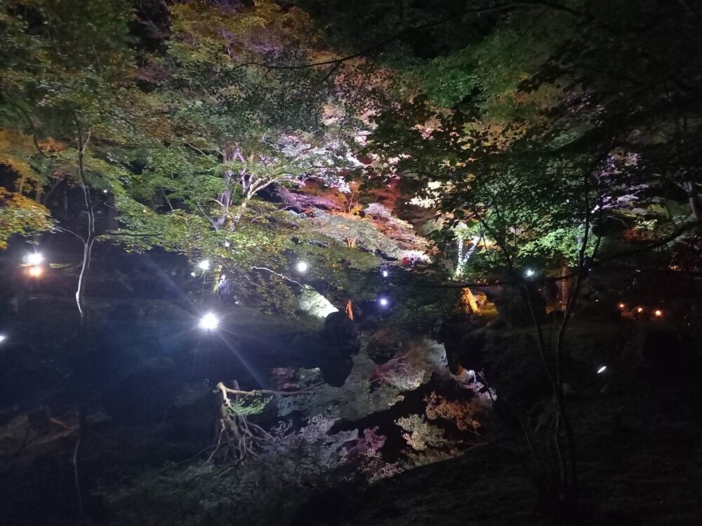 北畠神社　逆さ紅葉